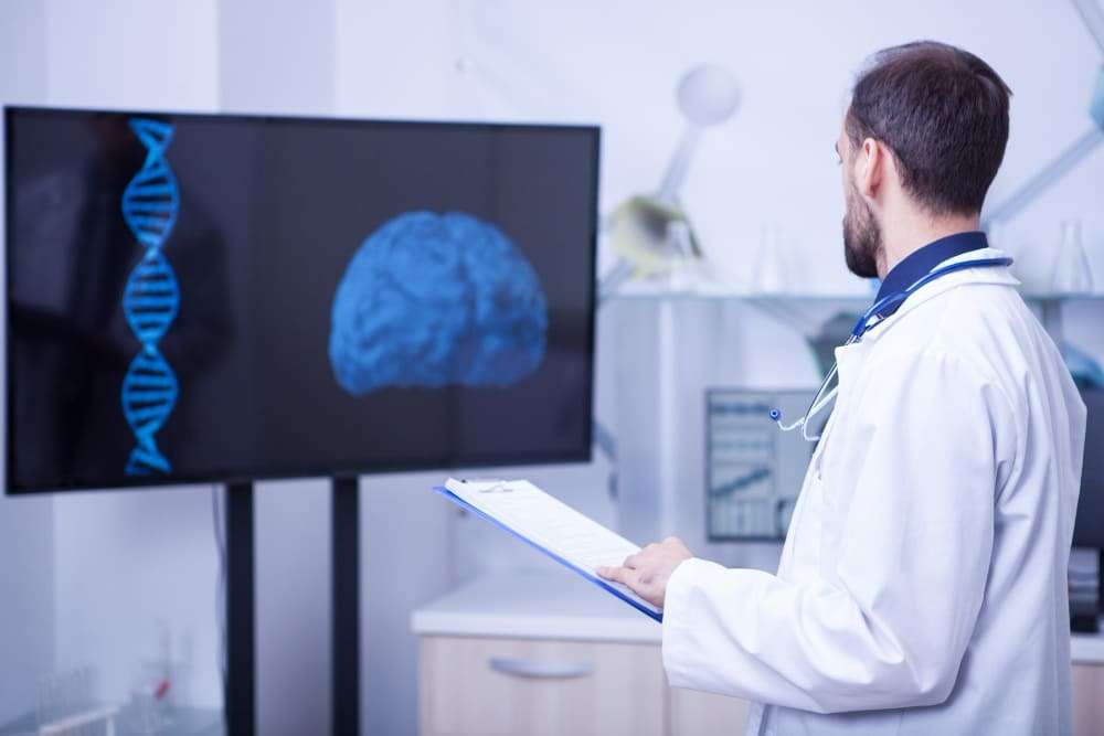 Brain Berry Standard Level Brain Data Analysis Section Image
